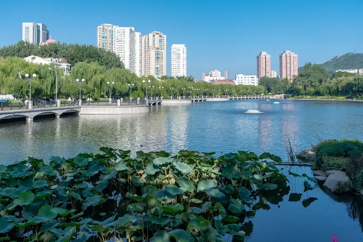 Vista de la ciudad de Dalian. 
Fuente: https://commons.wikimedia.org/wiki/Category:Dalian#/media/File:27477-Dalian_(45463565032).jpg.
